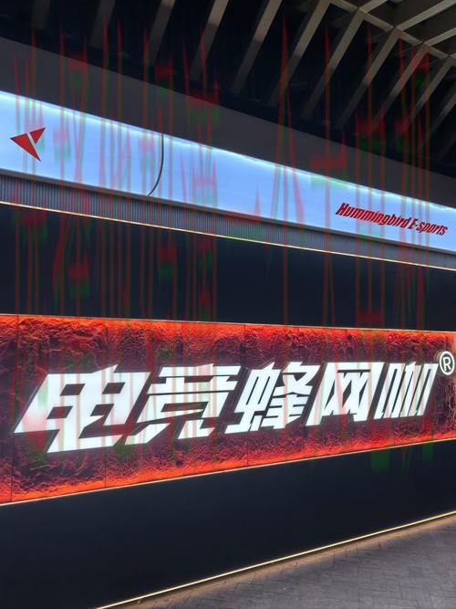 探索极速电竞最新官网功能与特色